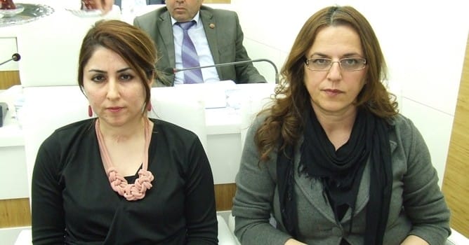 Kadına Şiddet Araştırılacak
