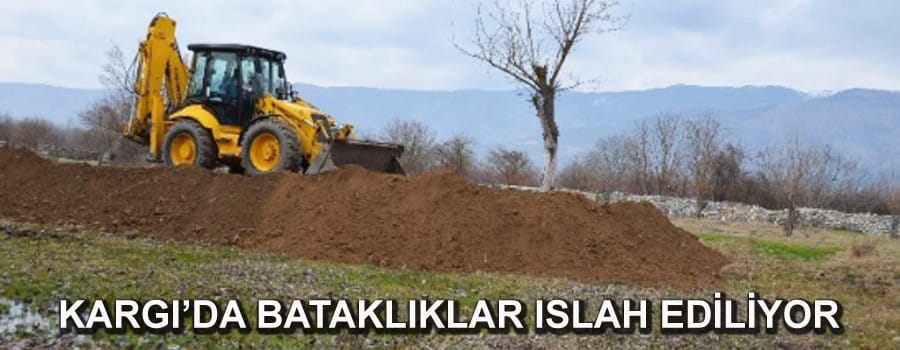 Bataklıklar kurutuluyor