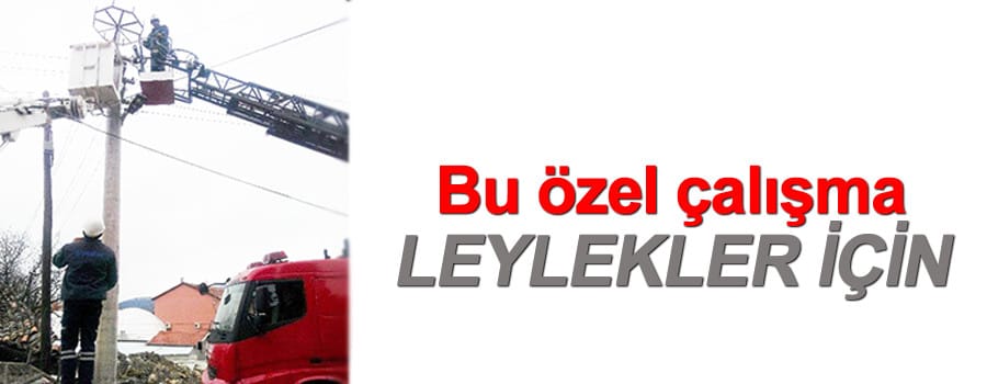 YEDAŞ Leyleklere hazırlık yaptı