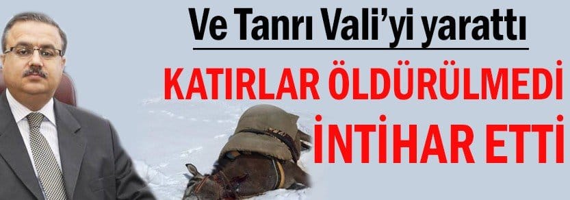 VALİYE Bak Valiye, Katırı intihar ettirdi