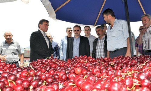 Kiraz festivalinde Maciran rüzgarı esecek