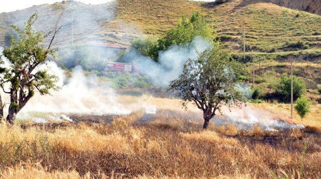 Arpa tarlası yandı