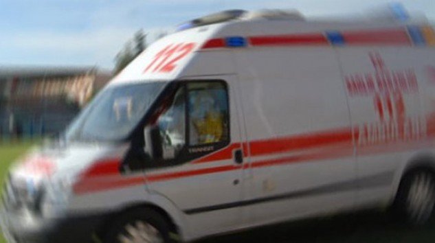 Ağaç kesmeye gitti ölü bulundu
