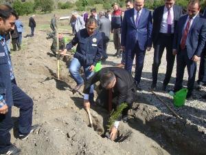 ŞEHİT SAVCI MEHMET SELİM KİRAZ ADINA OSMANCIK ADLİYESİ VE ÇORUM ORMAN İŞLETME MÜDÜRLÜĞÜ İŞBİRLİĞİ İLE OSMANCIK DURUCASU MEVKİİNDE HATIRA ORMANI OLUŞTURULDU (İSMAİL KABAKDERE/ÇORUM-İHA)