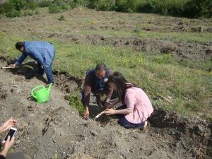 ŞEHİT SAVCI MEHMET SELİM KİRAZ ADINA OSMANCIK ADLİYESİ VE ÇORUM ORMAN İŞLETME MÜDÜRLÜĞÜ İŞBİRLİĞİ İLE OSMANCIK DURUCASU MEVKİİNDE HATIRA ORMANI OLUŞTURULDU (İSMAİL KABAKDERE/ÇORUM-İHA)