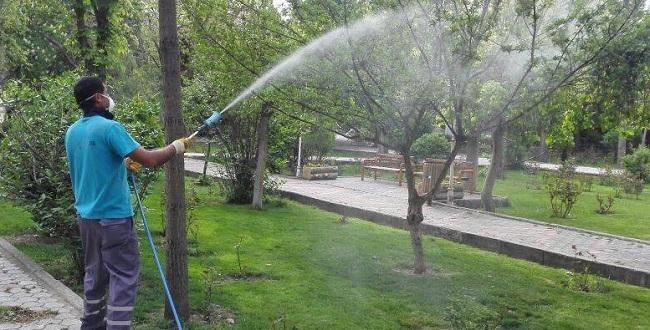 Sungurlu keneye göz açtırmayacak
