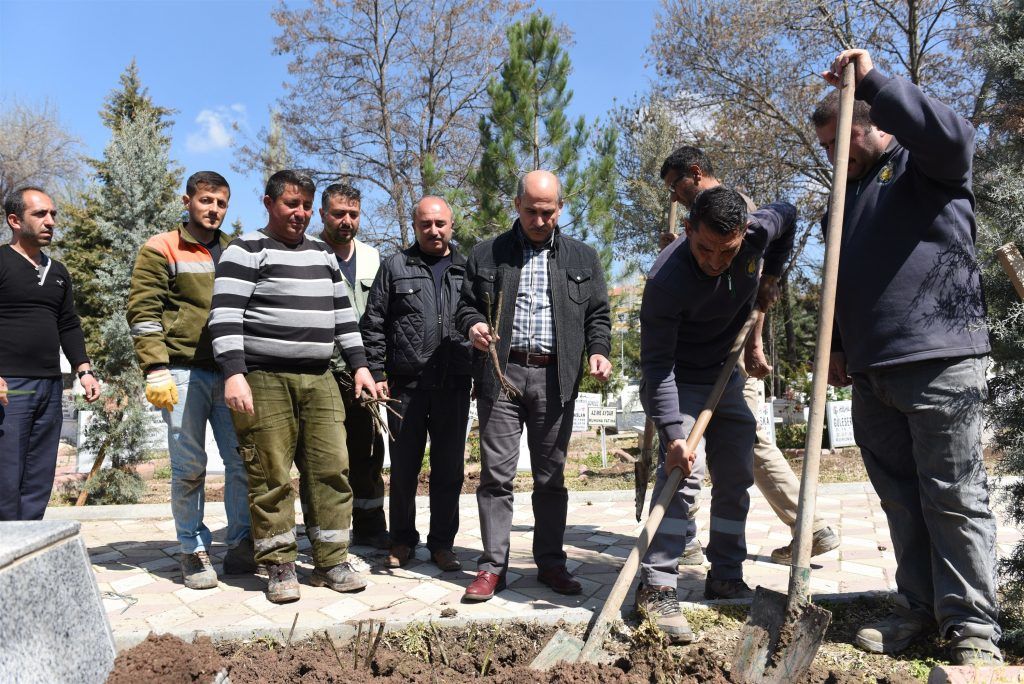 Mezarlıklara 5 Bin Gül Dikildi