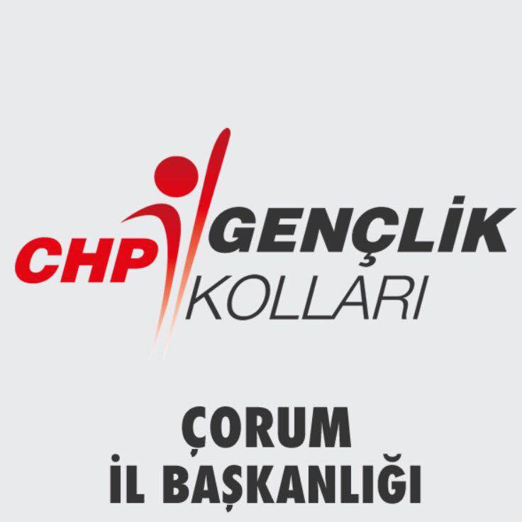 CHP Gençlik kolları; Çocuk susar sen susma