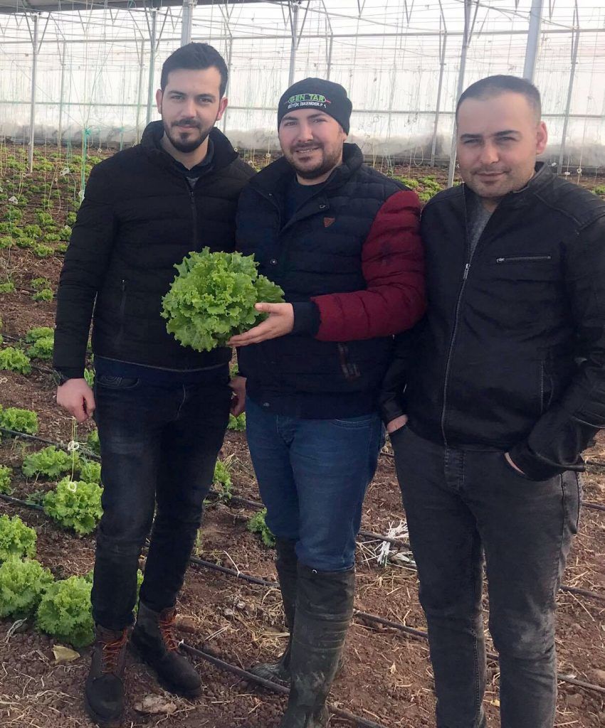 SUNGURLU’DA MARUL ÜRETİMİNE BAŞLANDI