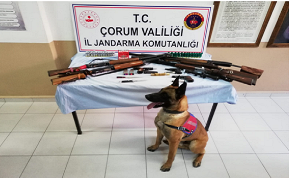 Silahları kaçıramadılar!..