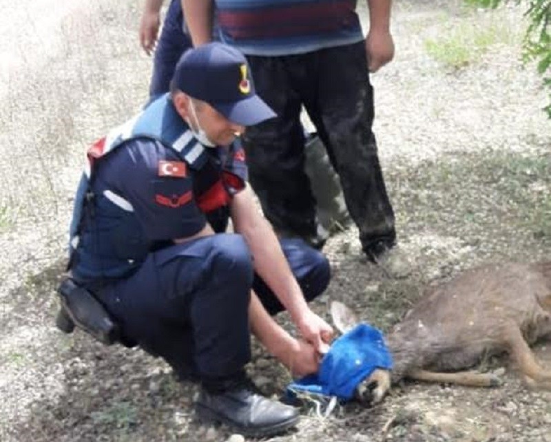 BOĞULMAK ÜZERE OLAN KARACA’YI JANDARMA KURTARDI