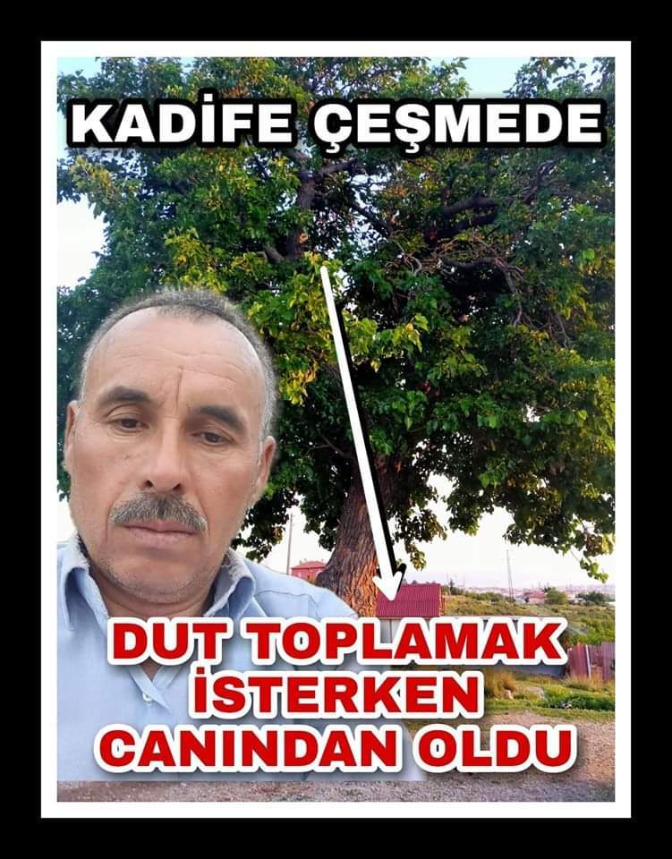 DUT TOPLAMAK İSTEDİ AMA HAYATINI KAYBETTİ