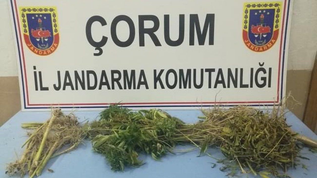 JANDARMA UYUŞTURUCUYA DEZENFEKTAN YAPTI