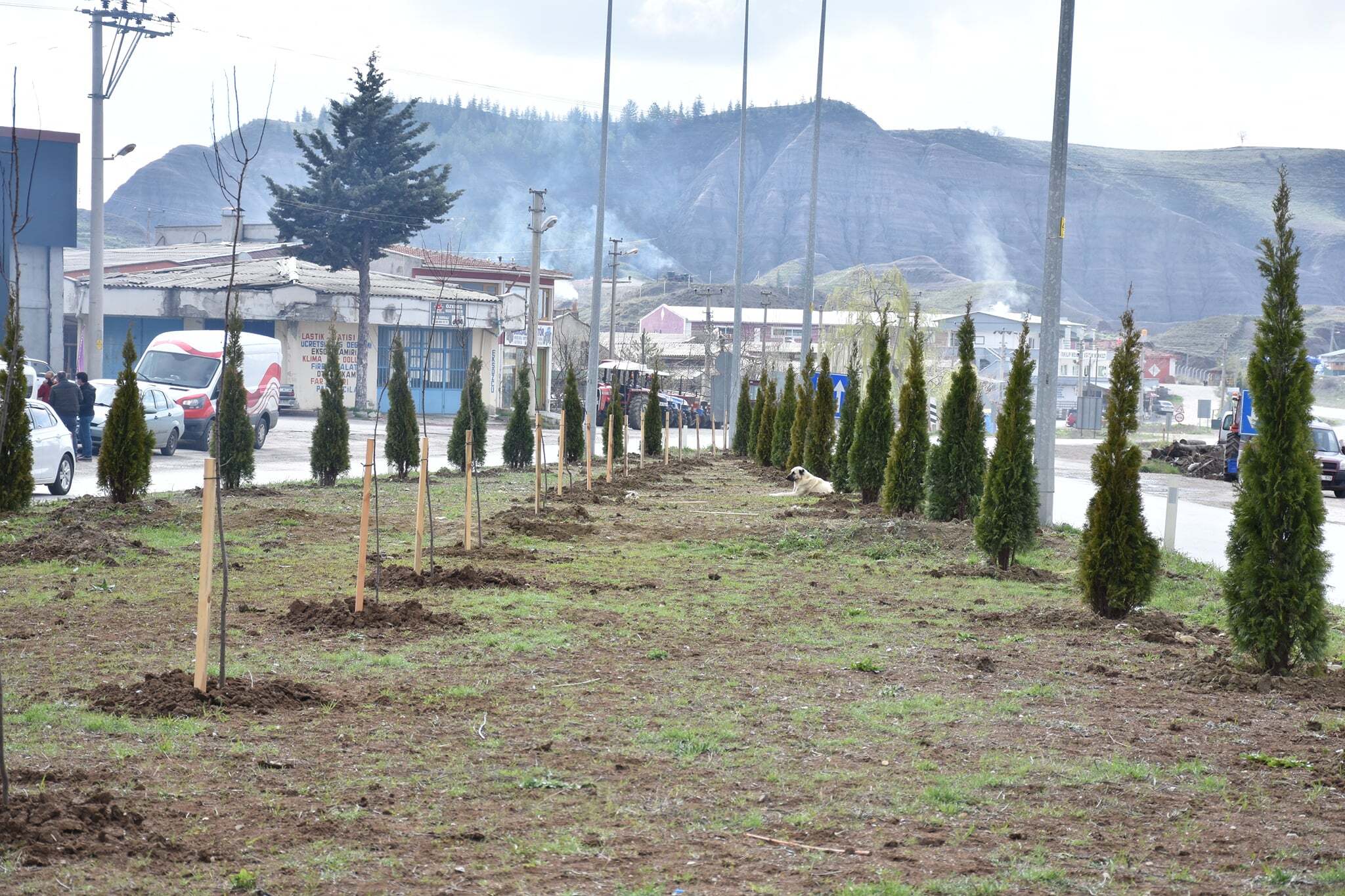 BELEDİYE YEŞİLLENDİRMEYE DEVAM EDİYOR