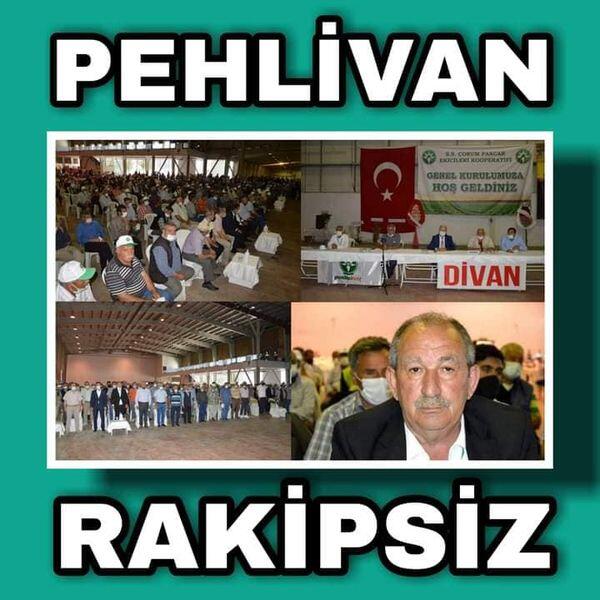 PEHLİVAN GÜVEN TAZELEDİ