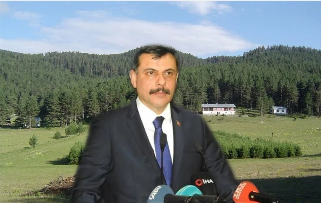 ÇORUM’DA ORMANA GİRİŞ YASAKLANDI