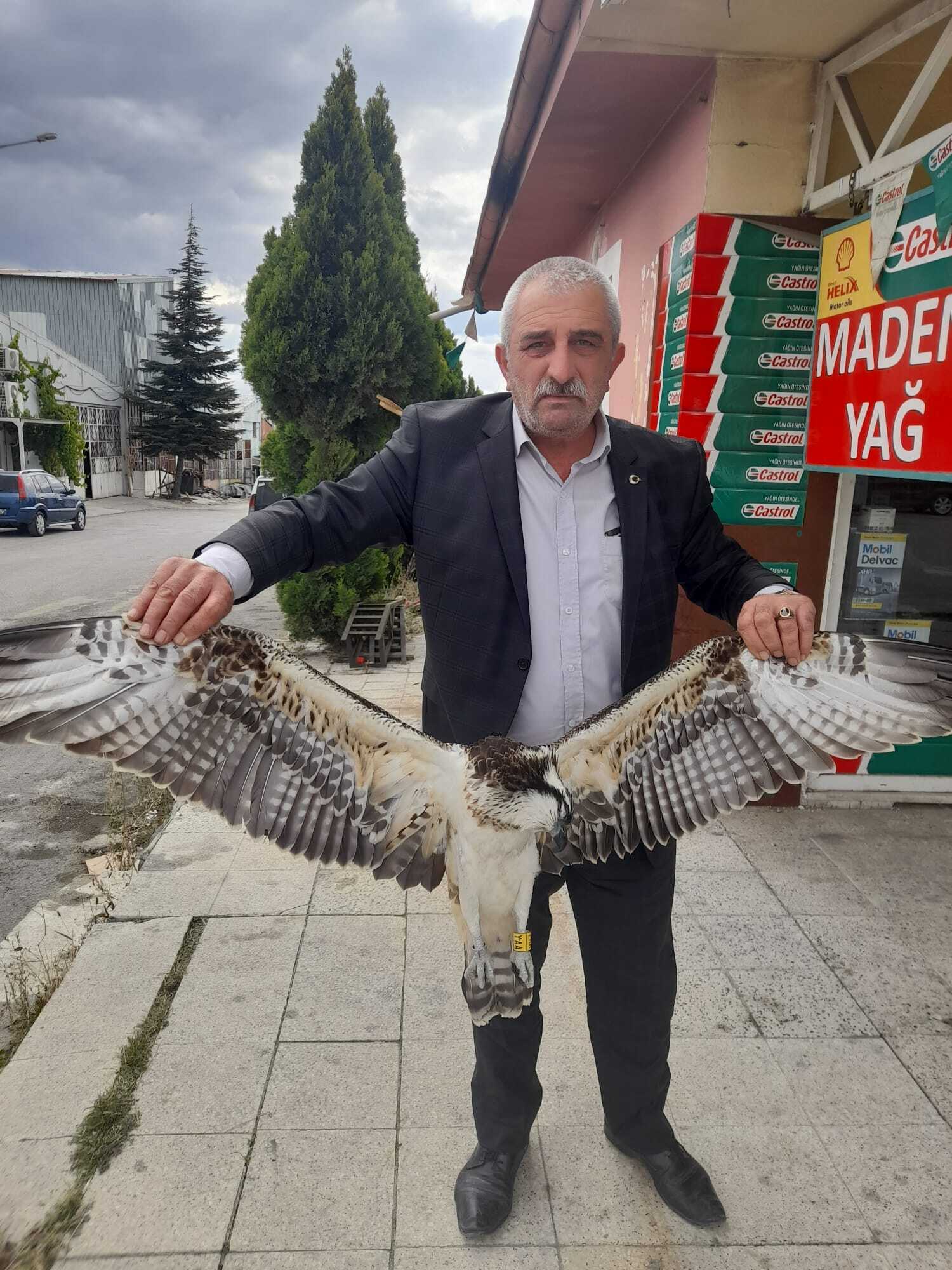 FİNLANDİYA’DAN ÇORUM’A UÇTU! ELEKTRİK AKIMINA KAPILIP ÖLDÜ