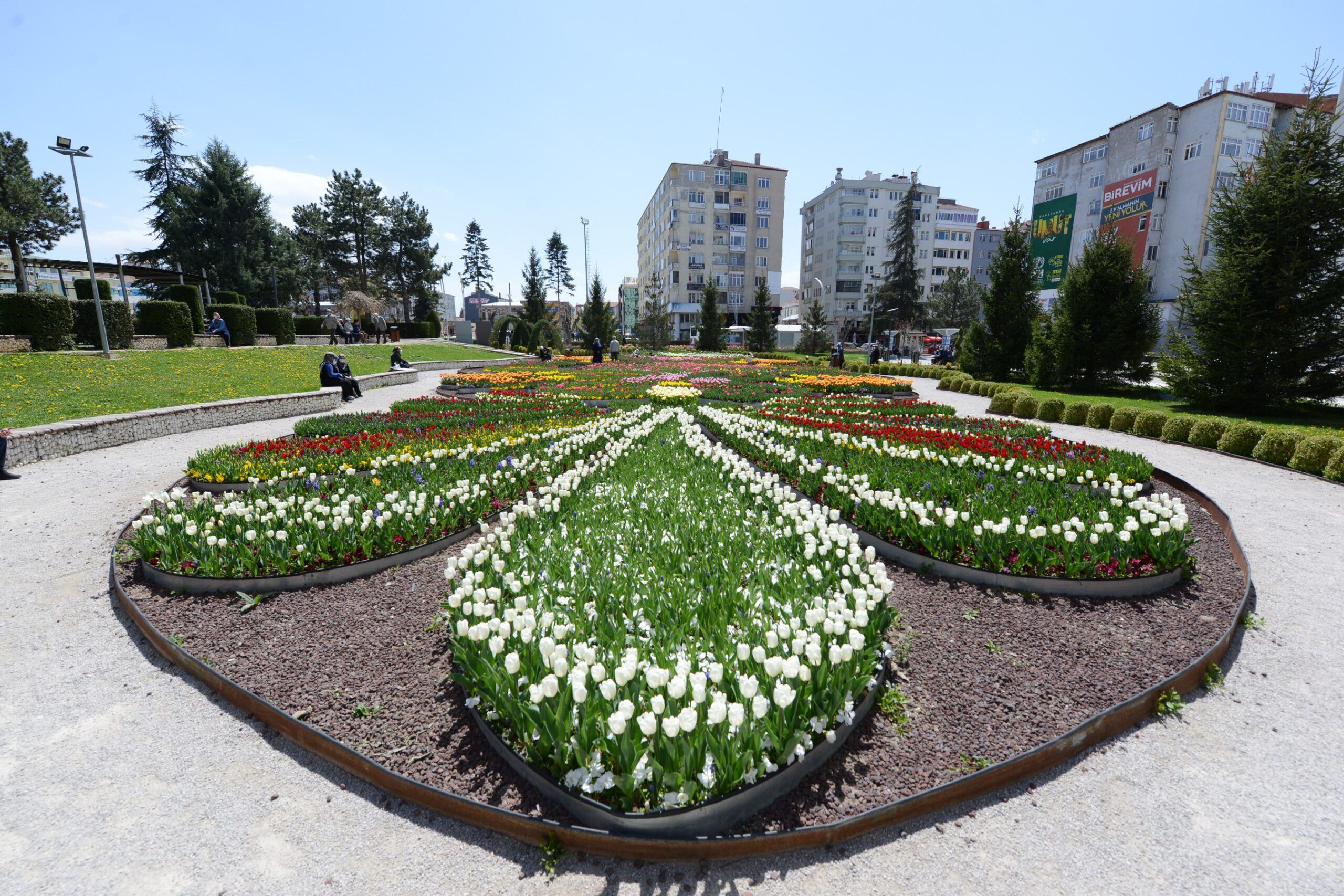 Belediye, Çorum’u 150 bin lale ve sümbülle donatıyor