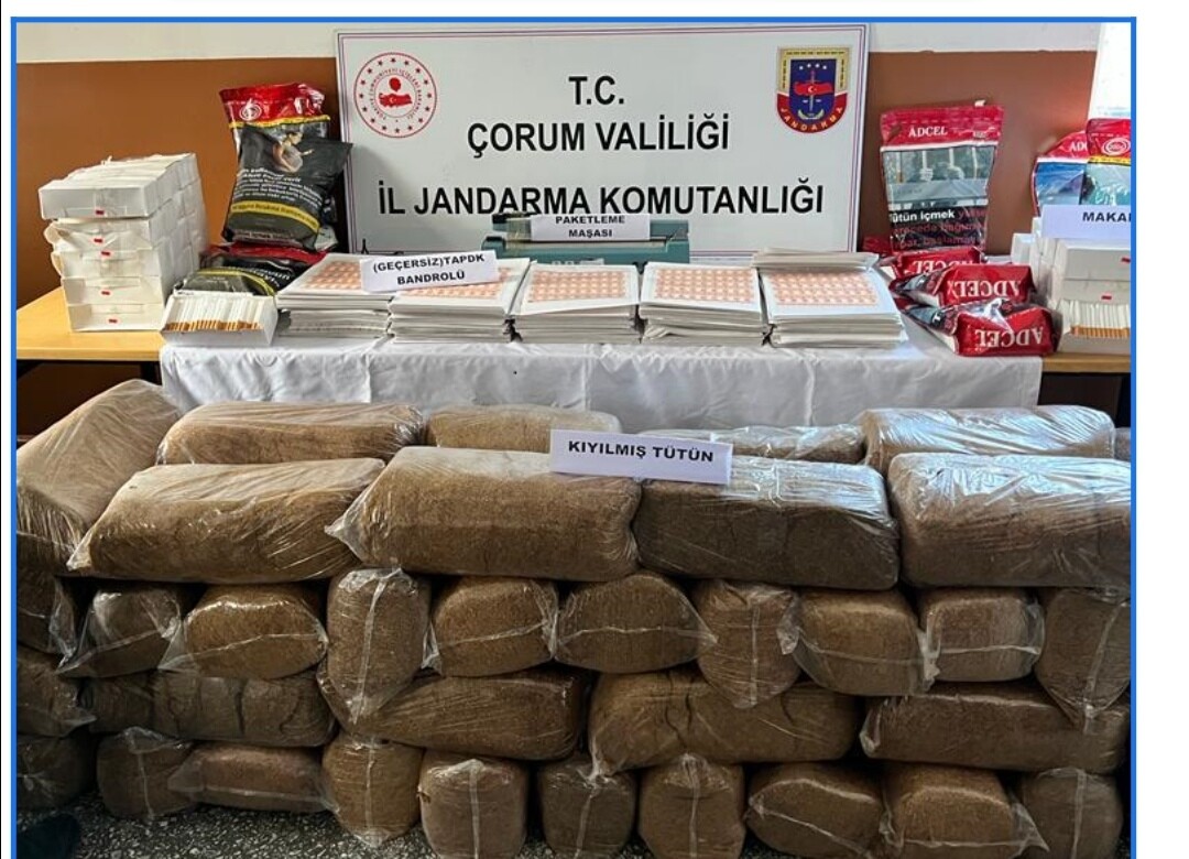 JANDARMA KÖYDE ELE GEÇİRDİ