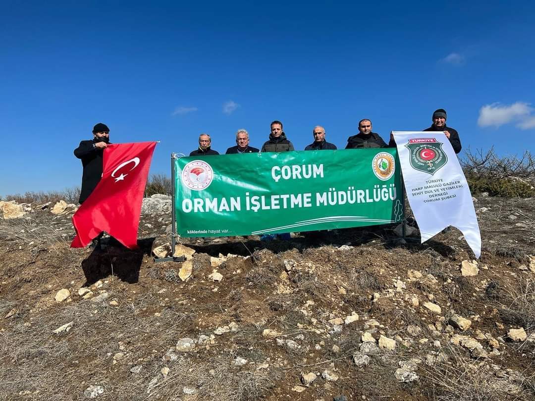 ŞEHİT AİLELERİ VE GAZİLER ESKİEKİN’DE FİDAN DİKTİ