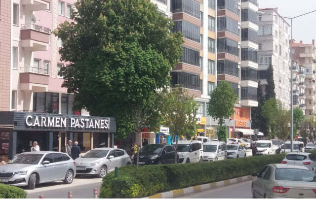BAHABEY CADDESİ ORTA REFÜJÜNDE ‘YENİDEN AĞAÇLANDIRMA’ İSTENİYOR
