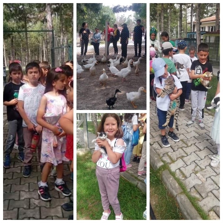 BELEDİYE EVCİL HAYVAN PARKI ZİYARETÇİ AKININA UĞRUYOR