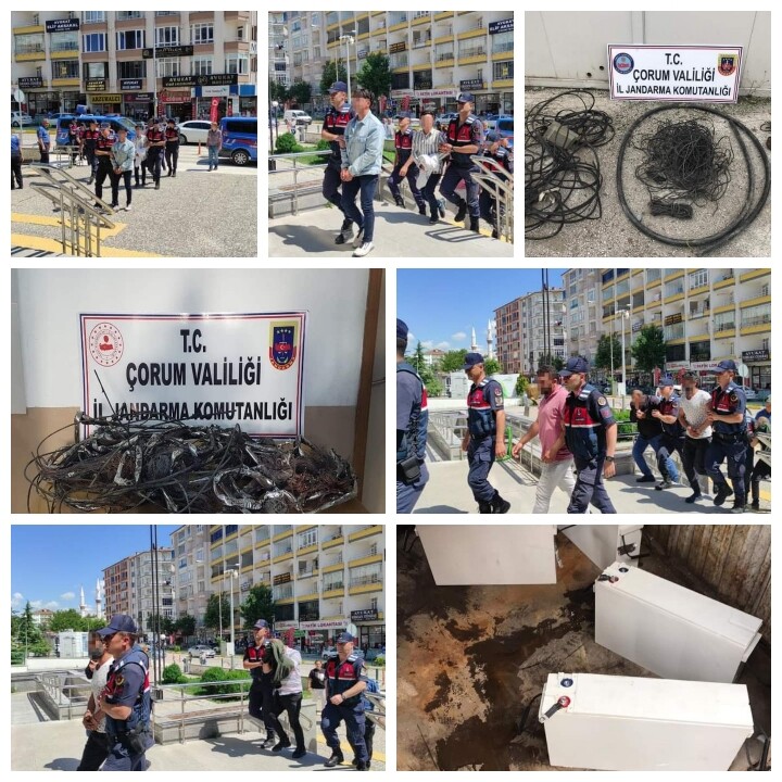 JANDARMA, BAZ İSTASYONU FARELERİNE OPERASYON YAPTI