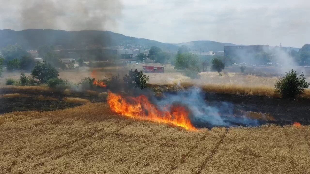ÇEŞİTLİ İLLERDE BUĞDAY TARLALARI YANIYOR