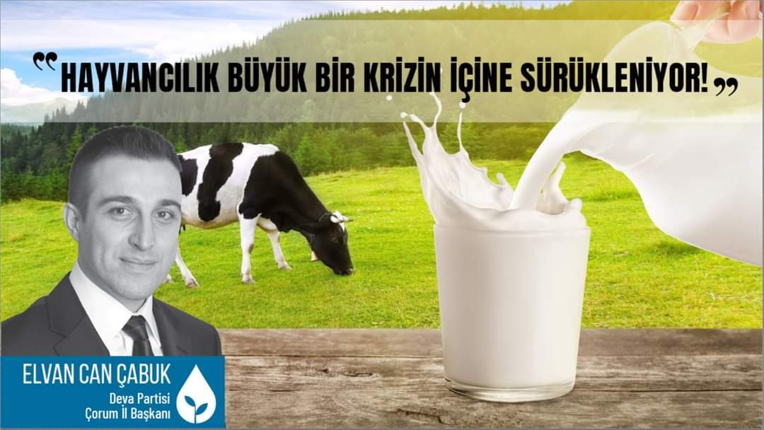 NEDEN ÜRETİCİLERİN MALİYETLERİNİN<br>FİYATLARA YANSITILMASI ENGELLENİYOR?’