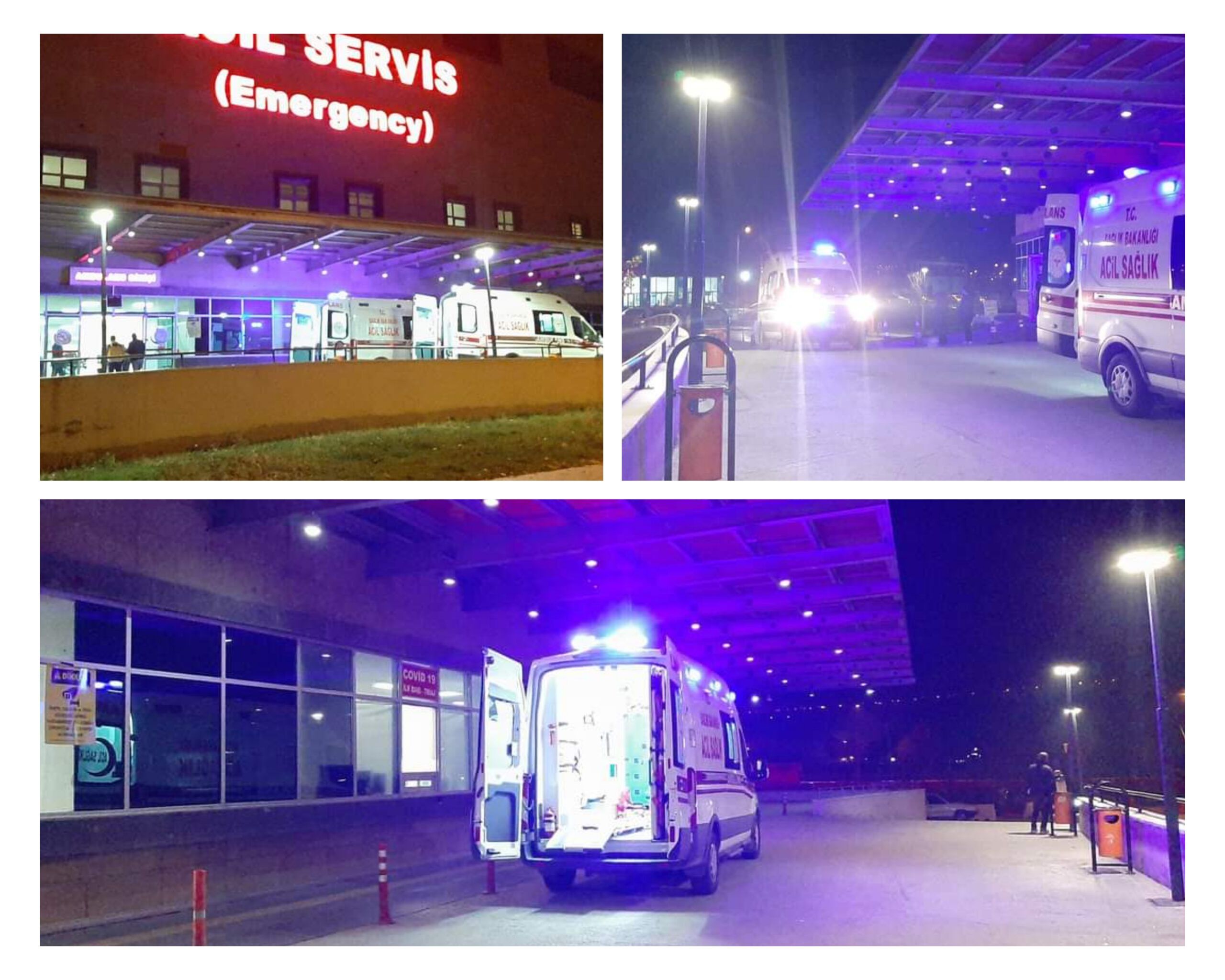 30 YAŞINDAKİ GENÇ CANINA KIYDI