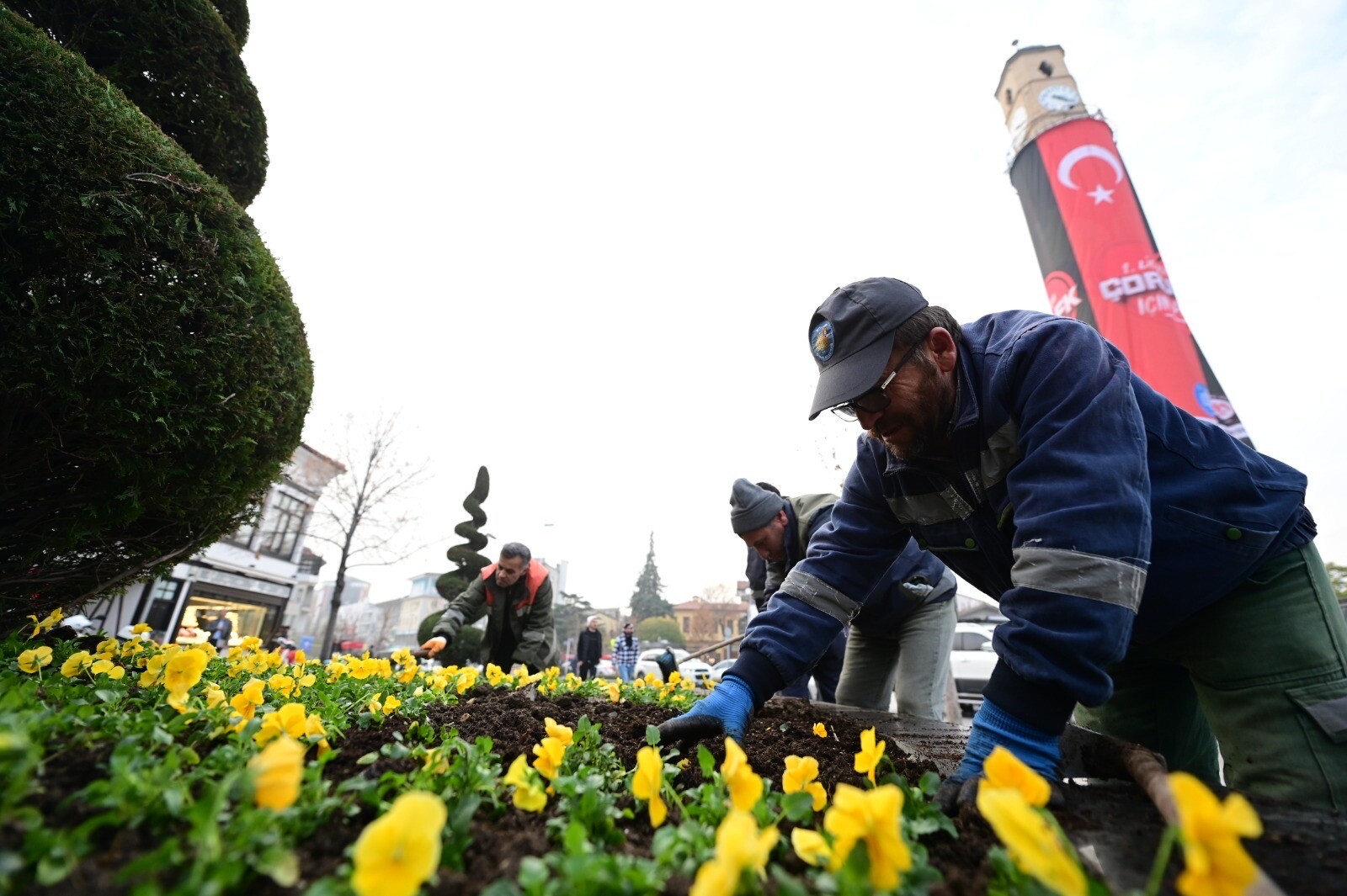 Belediye, şehri lale ve sümbüllerle donattı