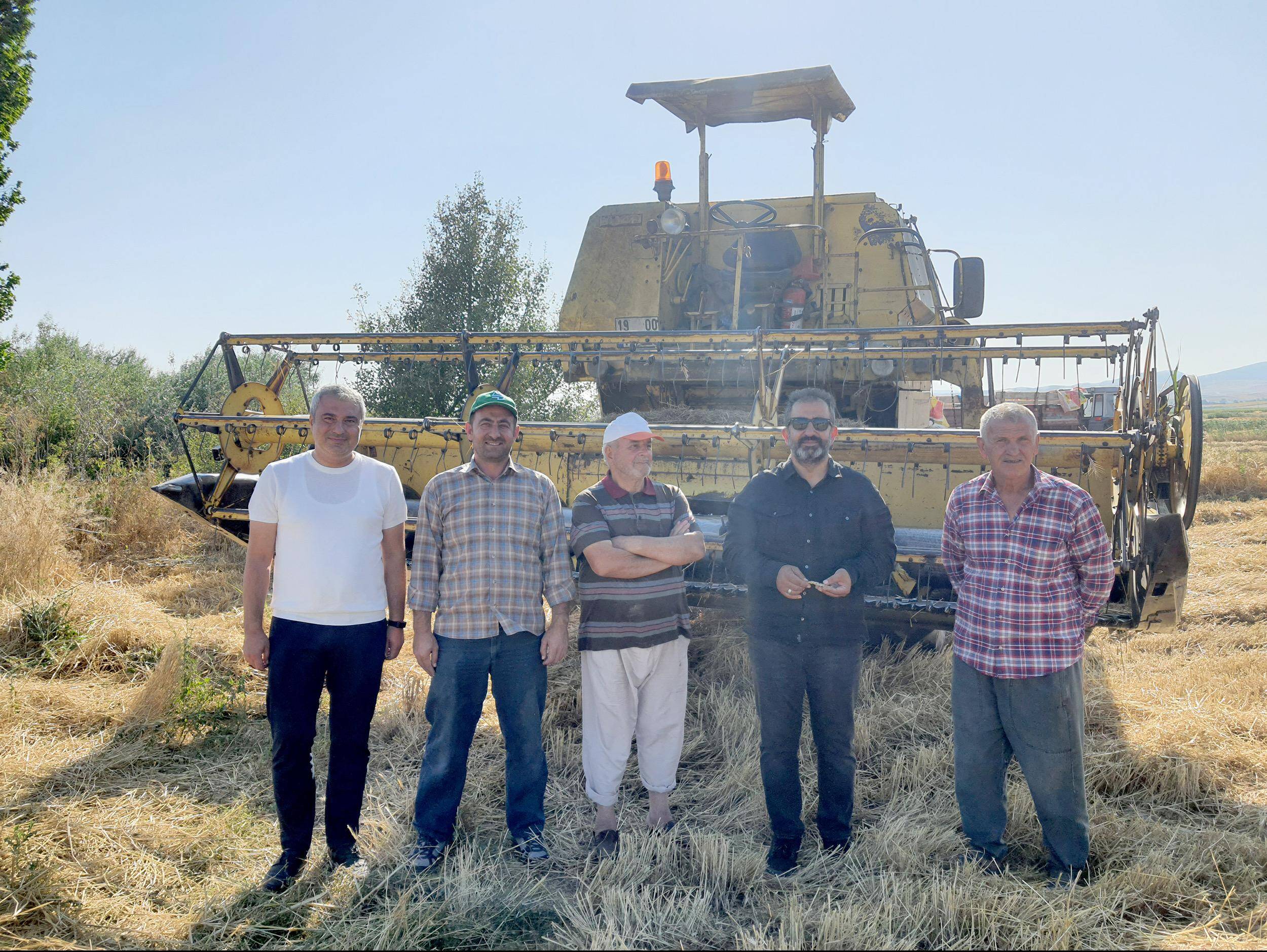 Belediye üretti, çiftçilere dağıtılacakAta tohumu buğday yaygınlaşacak