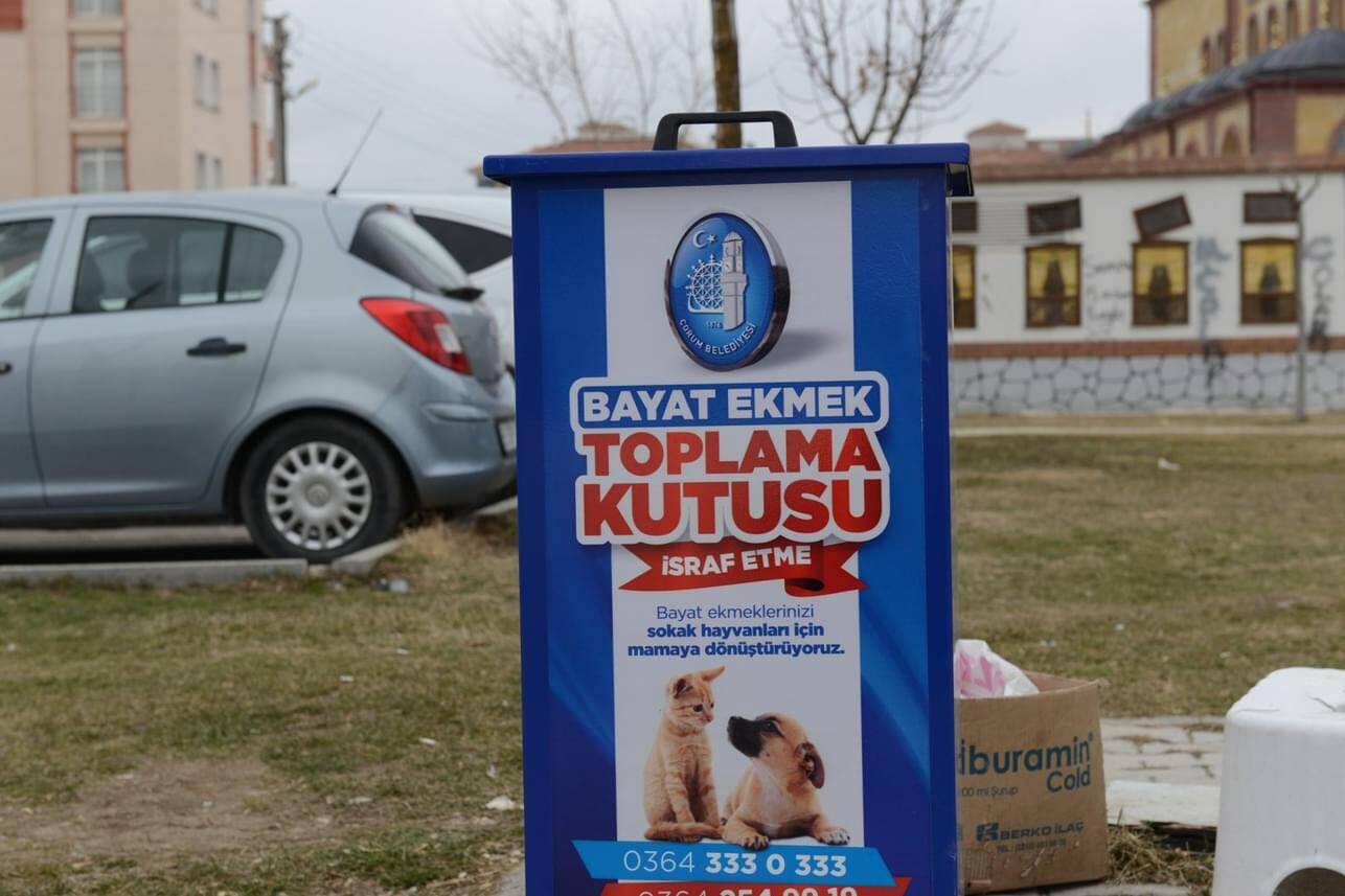 Soğuk kış aylarında sokak hayvanlarına yiyecek oldu