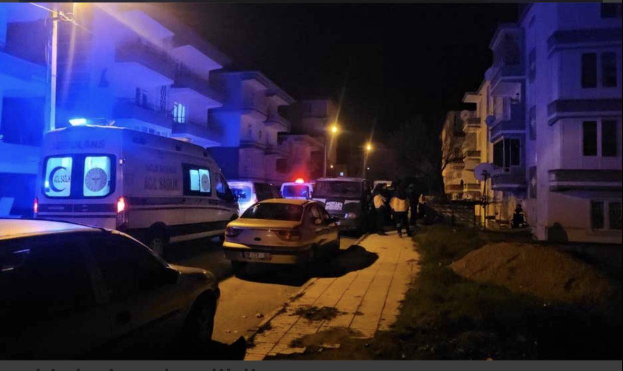 İki kardeşin arazi kavgası kanlı bitti!