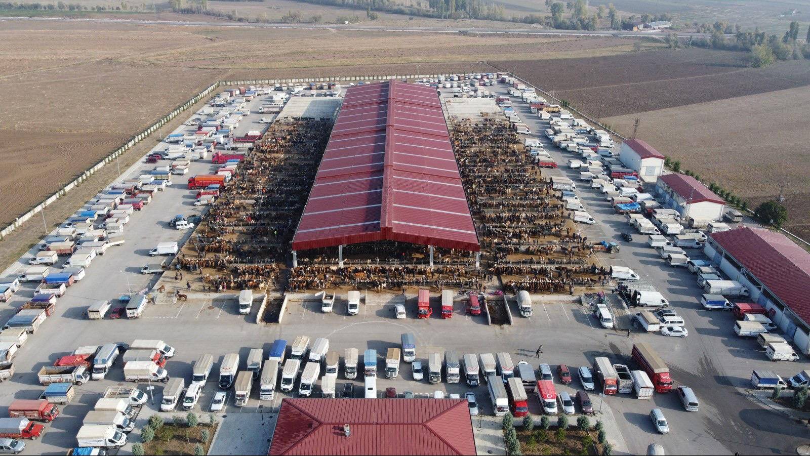 Çorum’da hayvan pazarı geçici olarak kapatıldı
