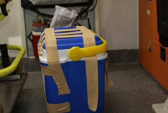 Vurulan gencin organları ailesi tarafından bağışlandı