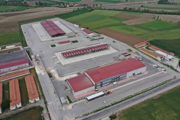 İKİ AYDIR KAPALI OLAN HAYVANPAZARI TEKRAR AÇILIYOR