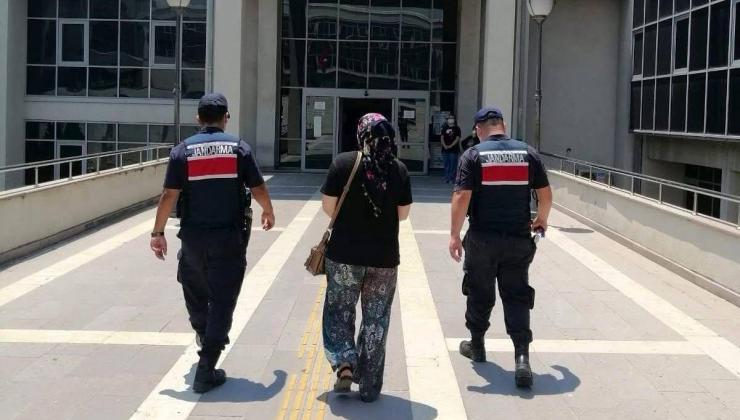 Gelin Kayınpederini Öldürdü