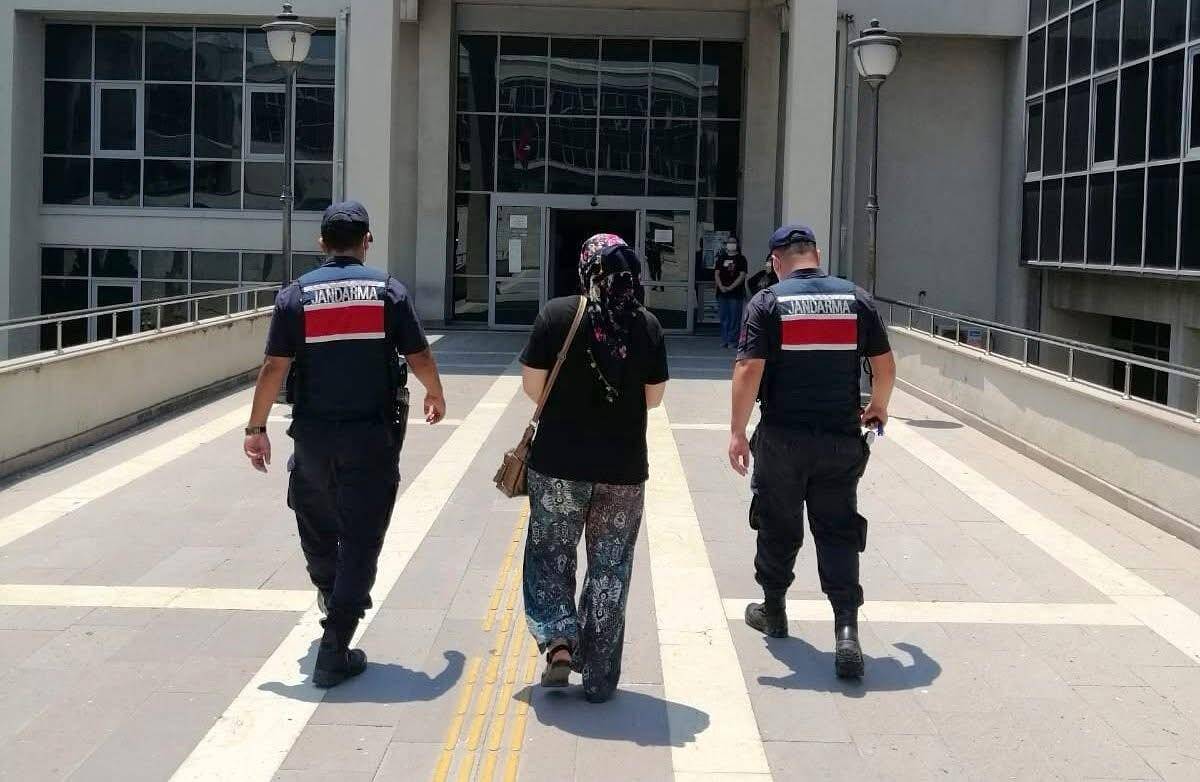 Gelin Kayınpederini Öldürdü