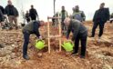 NADIK ŞEHİR ORMANI OLUŞTURULUYOR1.019 FİDAN TOPRAKLA BULUŞTURULDU