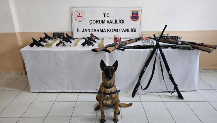 Düğün Magandalarına Operasyon: 11 Gözaltı