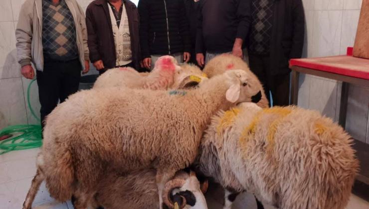 Çanakçı’da Abdal Musa Birlik Cemi