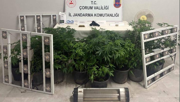 Zehir Tacirlerine Jandarma Pençesi: Çorum’da Uyuşturucuya Geçit Yok!