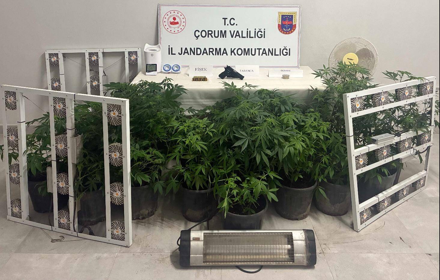 Zehir Tacirlerine Jandarma Pençesi: Çorum’da Uyuşturucuya Geçit Yok!