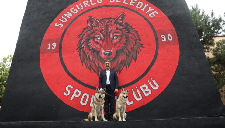 Sungurlu’da 30 Ağustos Coşkusu: Türk Ongunları Gösterisi Damga Vurdu