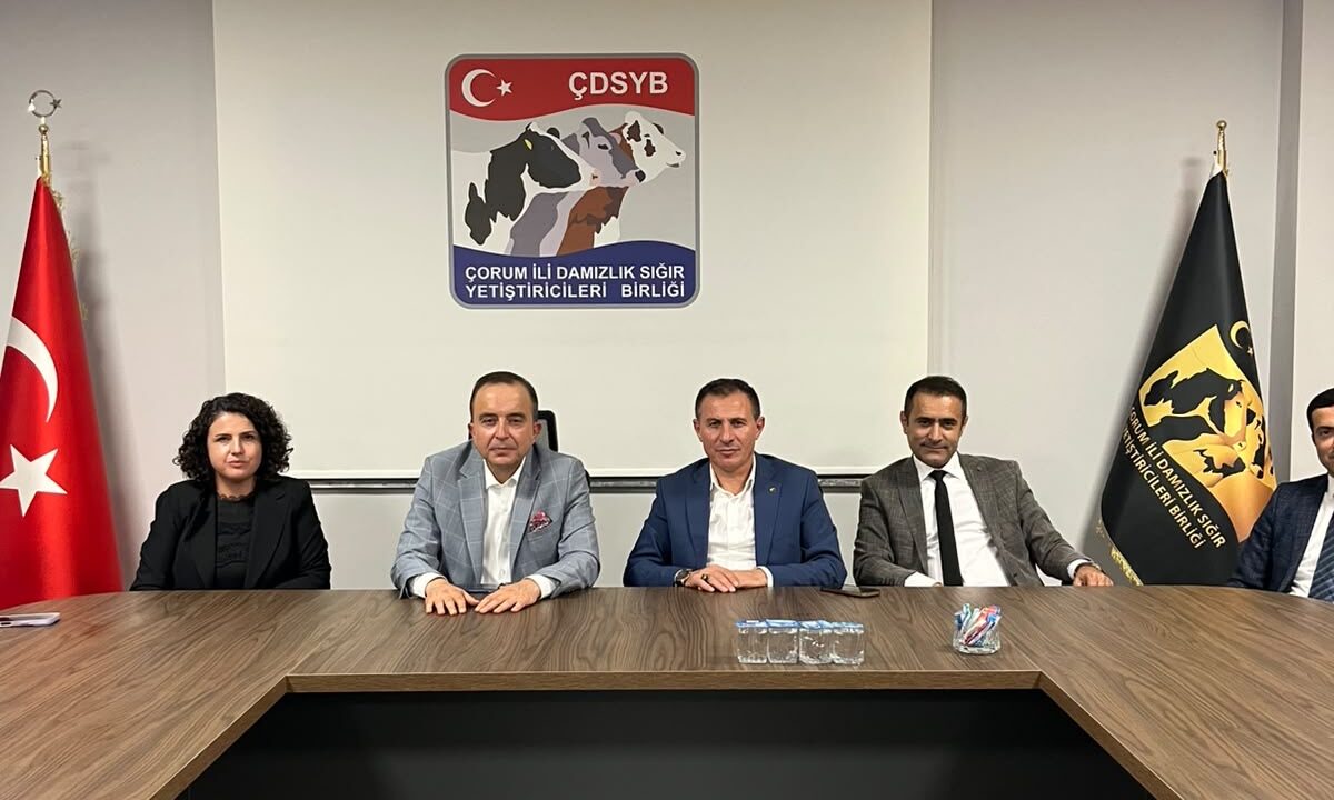 Çorum Hayvancılığına Dev Destek: Üreticilere 8 Milyon TL’ye Varan Kredi İmkanı
