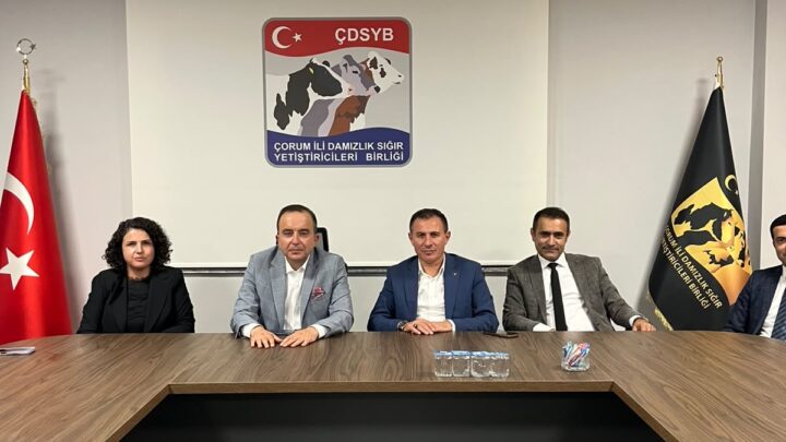 Çorum Hayvancılığına Dev Destek: Üreticilere 8 Milyon TL’ye Varan Kredi İmkanı